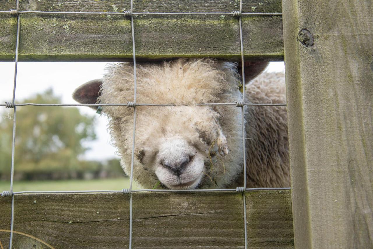 Tockwith Lodge Barn ヨーク エクステリア 写真